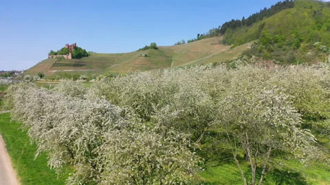 Drone aerial view, Ortenberg Castle in spring Stock Footage 137785687