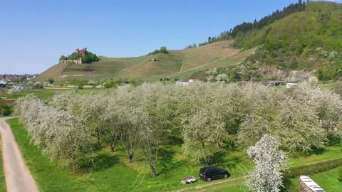 Drone aerial view of the Ortenberg Castle in spring Video stock 137785706