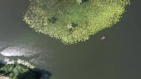Drone aerial view over Havel river in Spandau-Berlin in summer Stock Footage 281501629