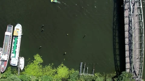 Drone aerial view over Havel river in Spandau-Berlin in summer Stock Footage 281504524