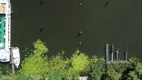 Drone aerial view over Havel river in Spandau-Berlin in summer Stock Footage 281504975
