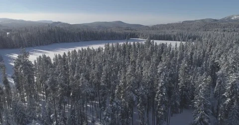Drone aerial view over snow covered forest to reveal frozen lake Stock Footage 72549009