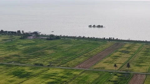 Drone aerial view of paddy fields and sea at Ban Pecah Видео 332589865