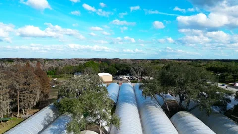 Drone Aerial view Pasco County, Odessa, FL 33556 Stock Footage 260732825