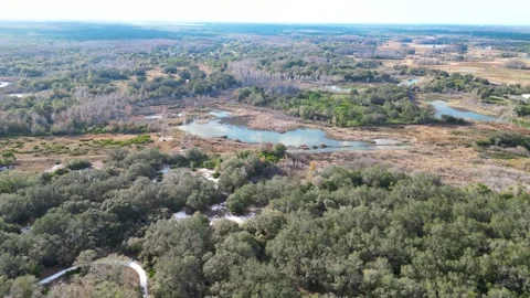 Drone Aerial view Pasco County, Odessa, FL 33556 Stock Footage 260733362
