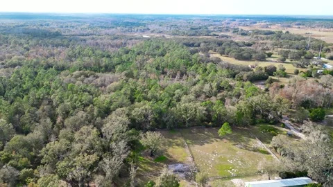Drone Aerial view Pasco County, Odessa, FL 33556 Stock Footage 260733401