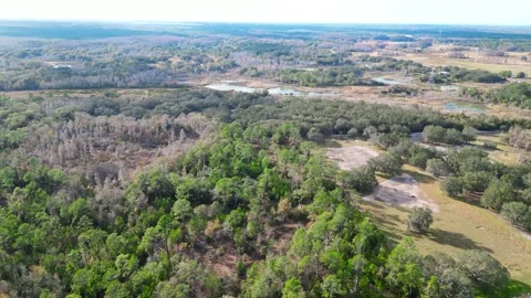 Drone Aerial view Pasco County, Odessa, FL 33556 Stock Footage 260733414