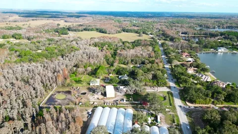 Drone Aerial view Pasco County, Odessa, FL 33556 Stock Footage 260733479