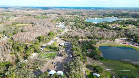 Drone Aerial view Pasco County, Odessa, FL 33556 Stock Footage 260733492