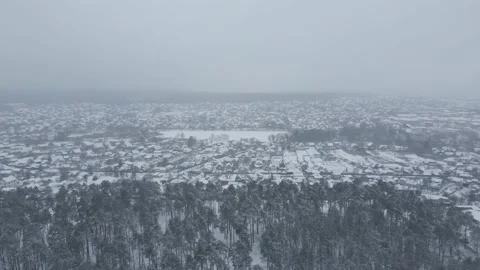 The drone aerial view of pine forest in winter Stock Footage 167079465