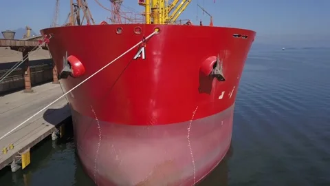 Drone aerial view of red bulk carrier cargo ship loaded with soy at sea port on  Stock Footage 170310286