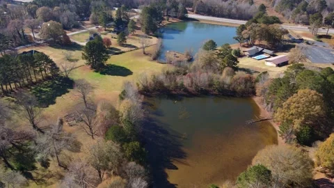 Drone aerial view right to left circle with birds flying over the lake. Stock Footage 170516268