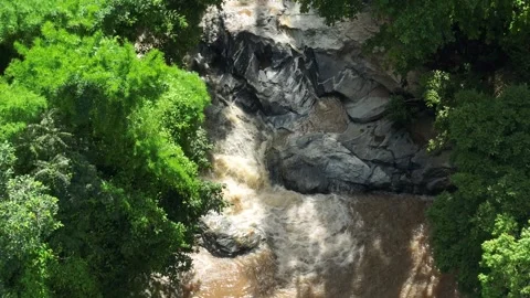 Drone aerial view of river rushing past large rocks and green plants. Stock Footage 310707516