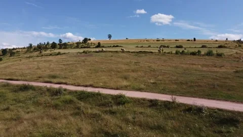 Drone Aerial View of Rolling Hills with Hay Bales in Catalonia, Spain Vidéo 287935149