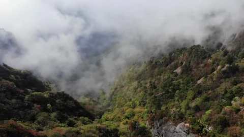 Drone Aerial View of Sea of Clouds and Autumn Foliage in Ishizuchi Mountains Video stock 344537723