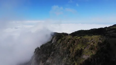 Drone Aerial View of Sea of Clouds and Autumn Foliage in Ishizuchi Mountains Vídeo Stock 344537897