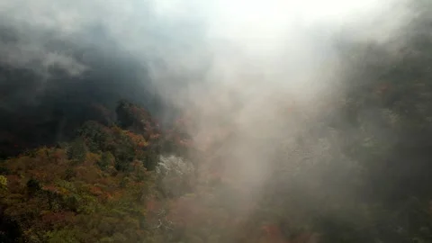 Drone Aerial View of Sea of Clouds and Autumn Foliage in Ishizuchi Mountains Vídeo Stock 344538259