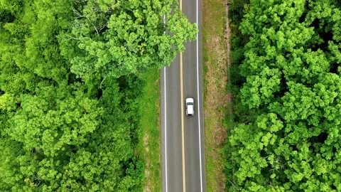 Drone aerial view of a silver car on a peaceful forest road... 動画素材 340290796