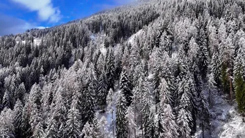 Drone Aerial View of Snow Stock Footage 315073655