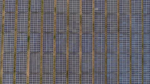Drone aerial view of solar panel farm arrays Vídeos de archivo 333049028