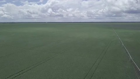 Drone aerial view of soy field and Center Pivot Irrigation System for watering . Stock Footage 149071546