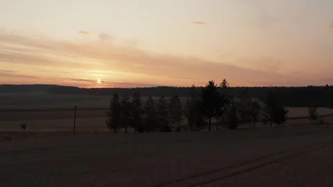 Drone Aerial View of Sunset Over Tree-Lined Fields Scenic Rural Countryside Vídeo Stock 347644848