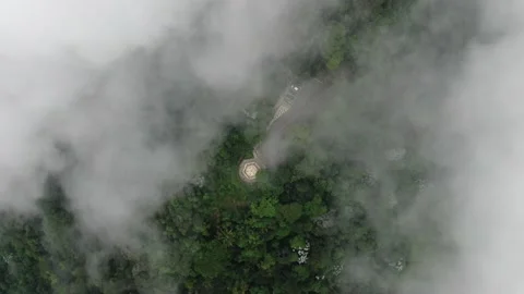 Drone aerial view through rain clouds flying over green forest  Stock Footage 146069052