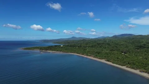 Drone Aerial View of Untouched Beach with Palm Forest and Hills on Tablas Stock Footage 326287823