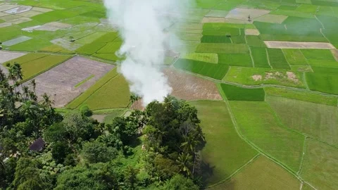 Drone Aerial View of White Smoke from Burning Straw in Rice Fields Area Stock Footage 345945401