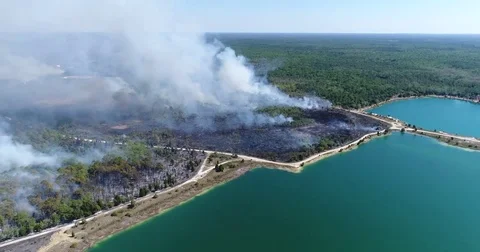 Drone Aerial view Wildfire Flames, forest fire Brush fire in Hernando Florida Stock Footage 77106273