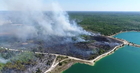 Drone Aerial view Wildfire Flames, forest fire Brush fire in Hernando Florida Stock Footage 77106347