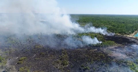 Drone Aerial view Wildfire Flames, forest fire Brush fire in Hernando Florida Stock Footage 77106404
