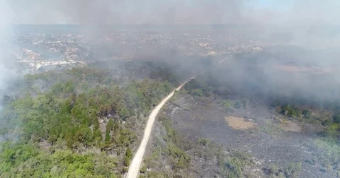 Drone Aerial view Wildfire Flames, forest fire Brush fire in Hernando Florida Stock Footage 77106449