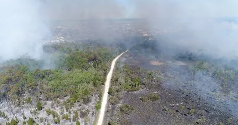 Drone Aerial view Wildfire Flames, forest fire Brush fire in Hernando Florida Stock Footage 77106499