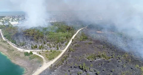 Drone Aerial view Wildfire Flames, forest fire Brush fire in Hernando Florida Stock Footage 77106545