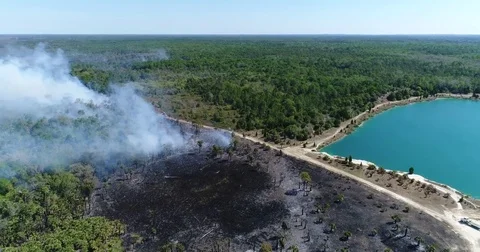 Drone Aerial view Wildfire Flames, forest fire Brush fire in Hernando Florida Stock Footage 77106567