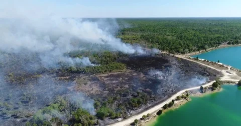 Drone Aerial view Wildfire Flames, forest fire Brush fire in Hernando Florida Stock Footage 77106641