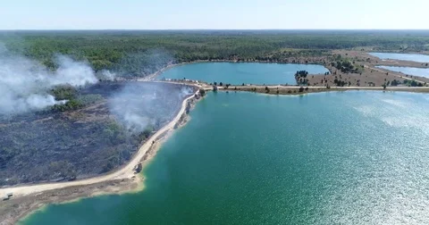 Drone Aerial view Wildfire Flames, forest fire Brush fire in Hernando Florida Stock Footage 77106661