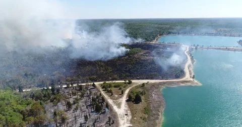 Drone Aerial view Wildfire Flames, forest fire Brush fire in Hernando Florida Stock Footage 77106678