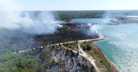 Drone Aerial view Wildfire Flames, forest fire Brush fire in Hernando Florida Stock Footage 77106739