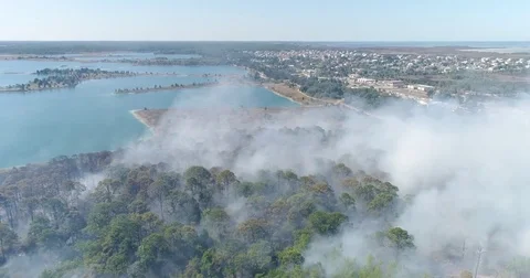 Drone Aerial view Wildfire Flames, forest fire Brush fire in Hernando Florida Stock Footage 77106766