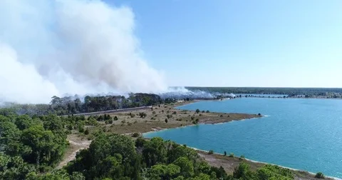 Drone Aerial view Wildfire Flames, forest fire Brush fire in Hernando Florida Stock Footage 77107247
