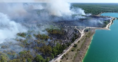Drone Aerial view Wildfire Flames, forest fire Brush fire in Hernando Florida Stock Footage 77107529