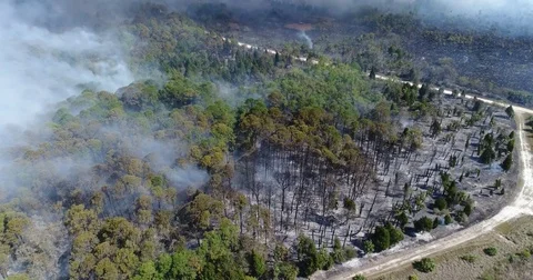 Drone Aerial view Wildfire Flames, forest fire Brush fire in Hernando Florida Vídeos de archivo 77107645