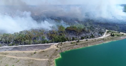 Drone Aerial view Wildfire Flames, forest fire Brush fire in Hernando Florida Stock Footage 77107812