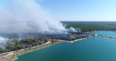Drone Aerial view Wildfire Flames, forest fire Brush fire in Hernando Florida Stock Footage 77108018