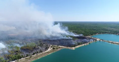 Drone Aerial view Wildfire Flames, forest fire Brush fire in Hernando Florida Stock Footage 77108085