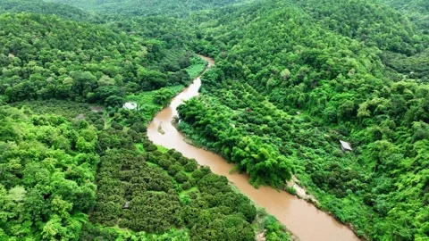 Drone aerial view of winding river through dense green forest. Video stock 310707668