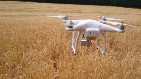 Drone for agriculture. Stock Footage 77039048