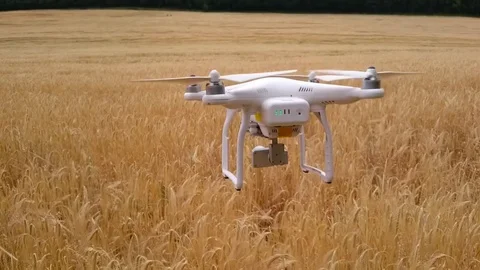 Drone for agriculture. Stock Footage 77039314